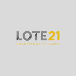 Lote 21