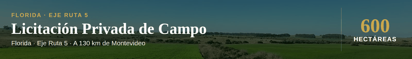 Campo